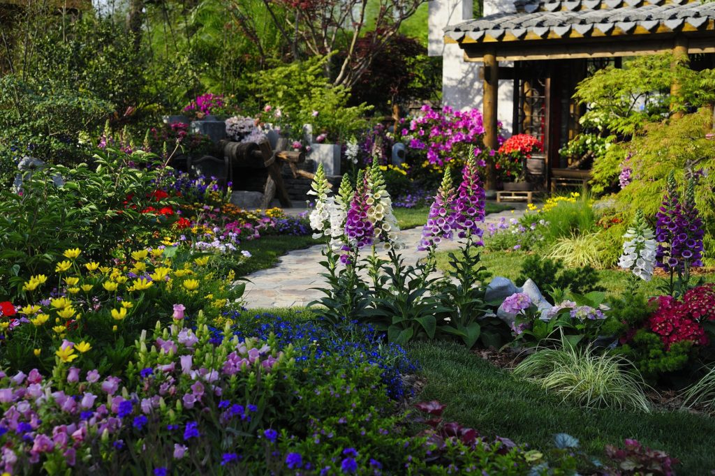 green garden with many flowers