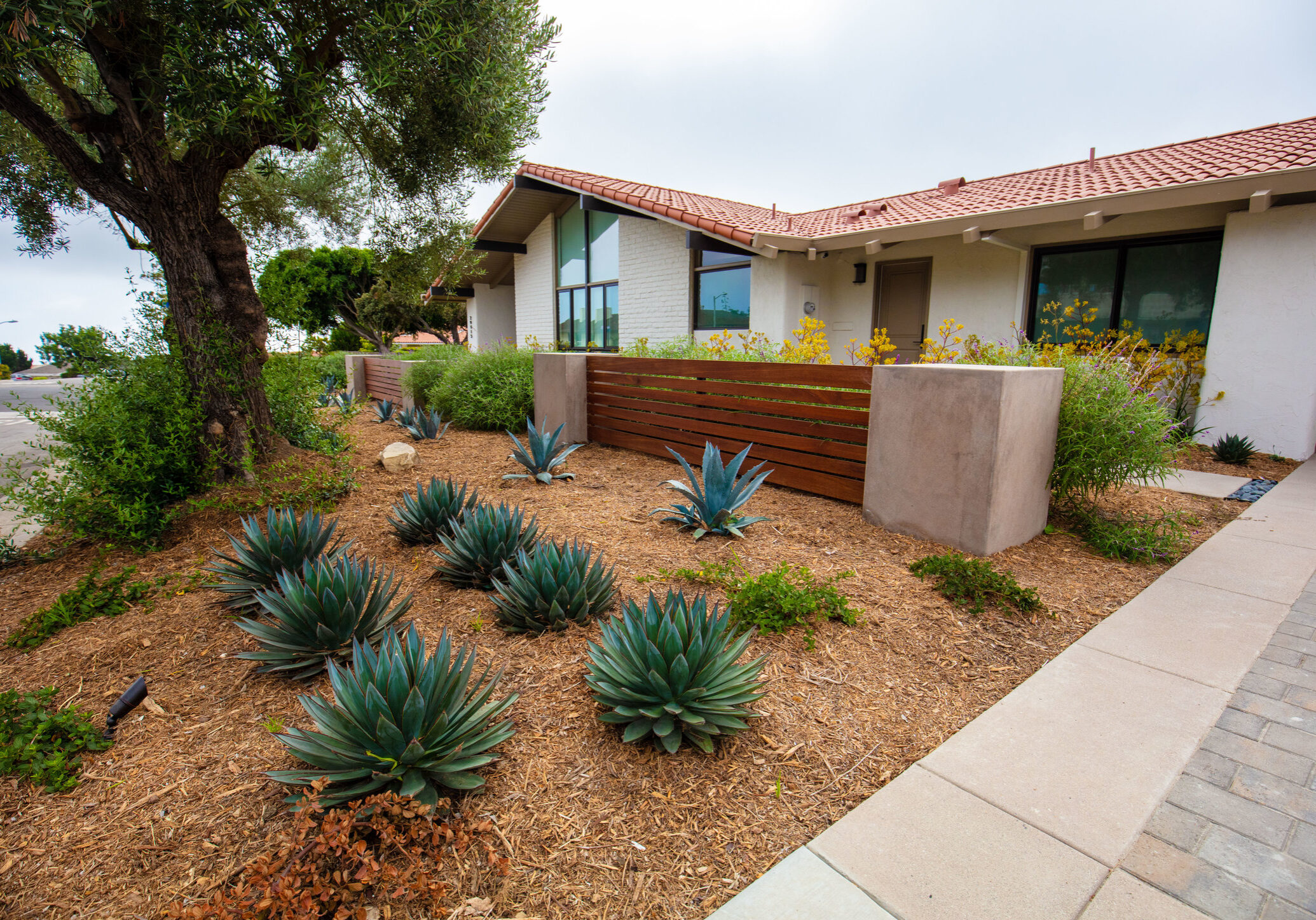los-alamitos-ca-landscape-design Long Beach, CA Low Water Landscaping